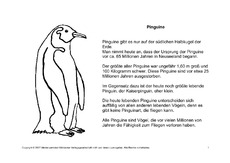 Fehlerlesen-Pinguine-Lesetext-1-4.pdf